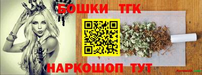 spice Камышлов