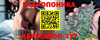 Альфа ПВП Кимры