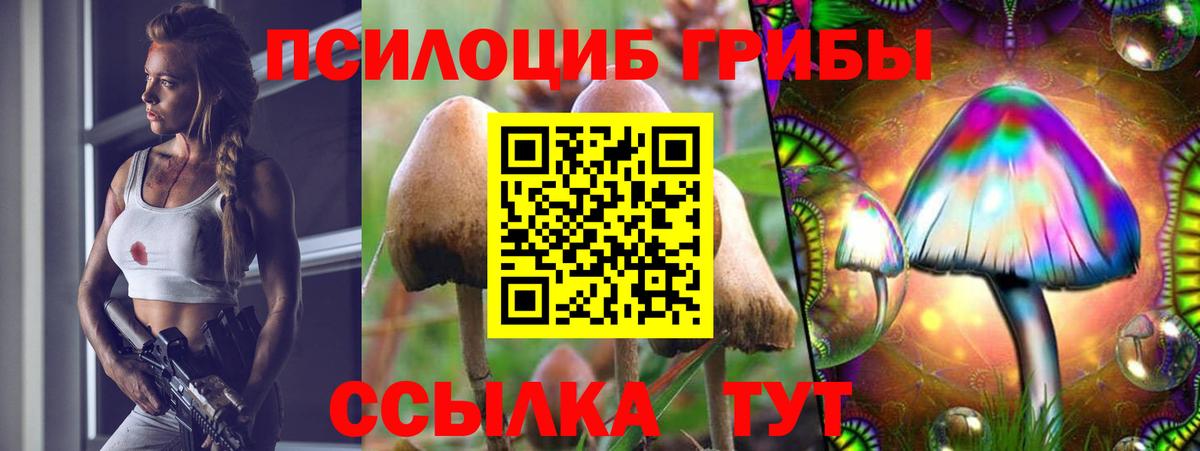 Искитим  цена   Псилоцибиновые грибы MAGIC MUSHROOMS  Вход с VPN  Псилоцибиновые грибы Cubensis 